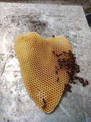 IMG_20200419_122326_8
