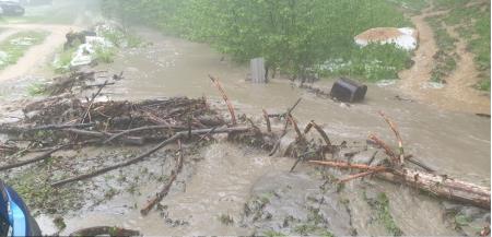 Naplavine (foto: M. A. Korošec)