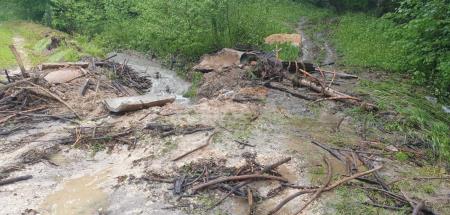 Posledice neurja (foto: M. A. Korošec)