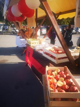 Pestrost stojnice Občine je bila vsem presenetljiva