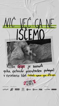 PETARDE_1080x1350_KV_post_story_4