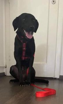 6429ef09-7743-44d6-58a1-71dcb065b2d6