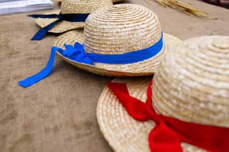 28_9_na_plac_lukovica_gubancfoto-2