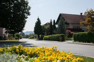 IMG_9234