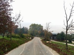 22195238_1781144301918856_1367490792358229450_n