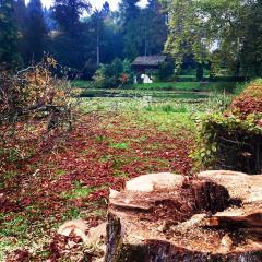 22195927_1781144195252200_4325605196933986475_n