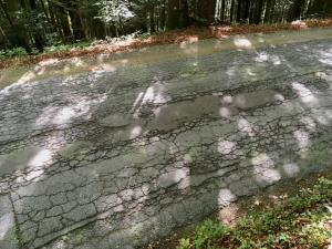 4043_1507459456_file08-10-2017124026