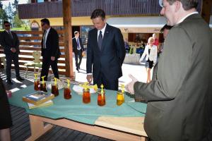 Predesdnik_cb_dom_i-36