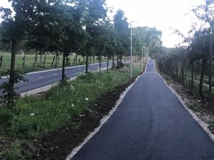 IMG-5928[22912]